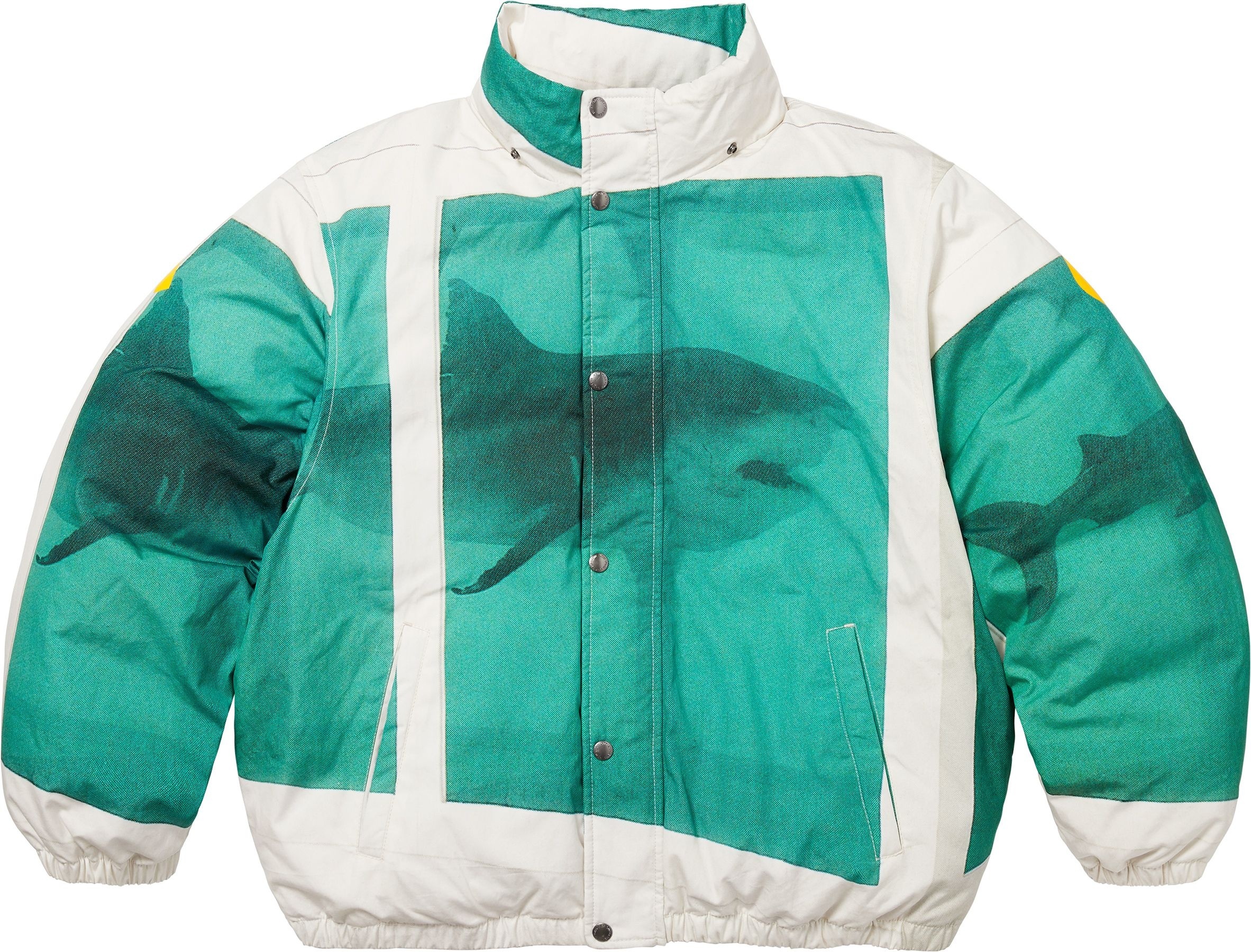 Supreme/Damien Hirst Down Puffer Jacket view 14